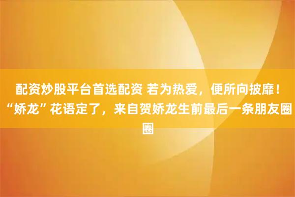 配资炒股平台首选配资 若为热爱，便所向披靡！“娇龙”花语定了，来自贺娇龙生前最后一条朋友圈
