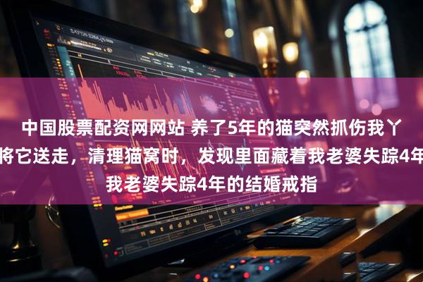 中国股票配资网网站 养了5年的猫突然抓伤我丫头，我狠心将它送走，清理猫窝时，发现里面藏着我老婆失踪4年的结婚戒指